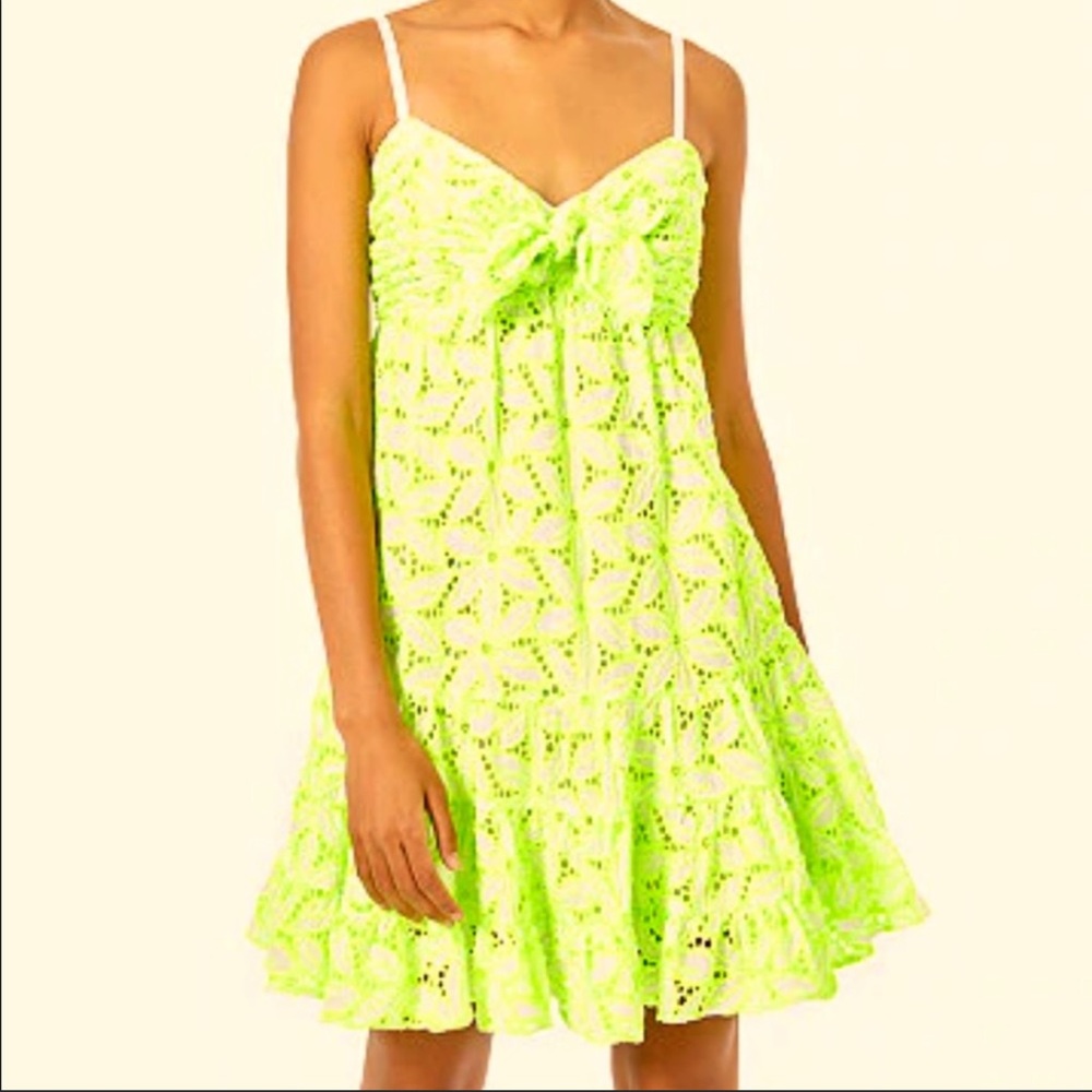 NWT Lilly Pulitzer Briana Dress